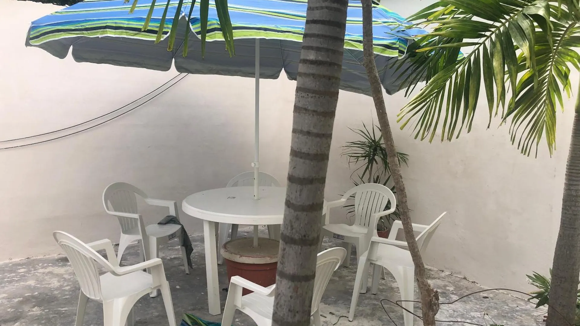 Studios Playa 普拉亚卡门 2*,  墨西哥