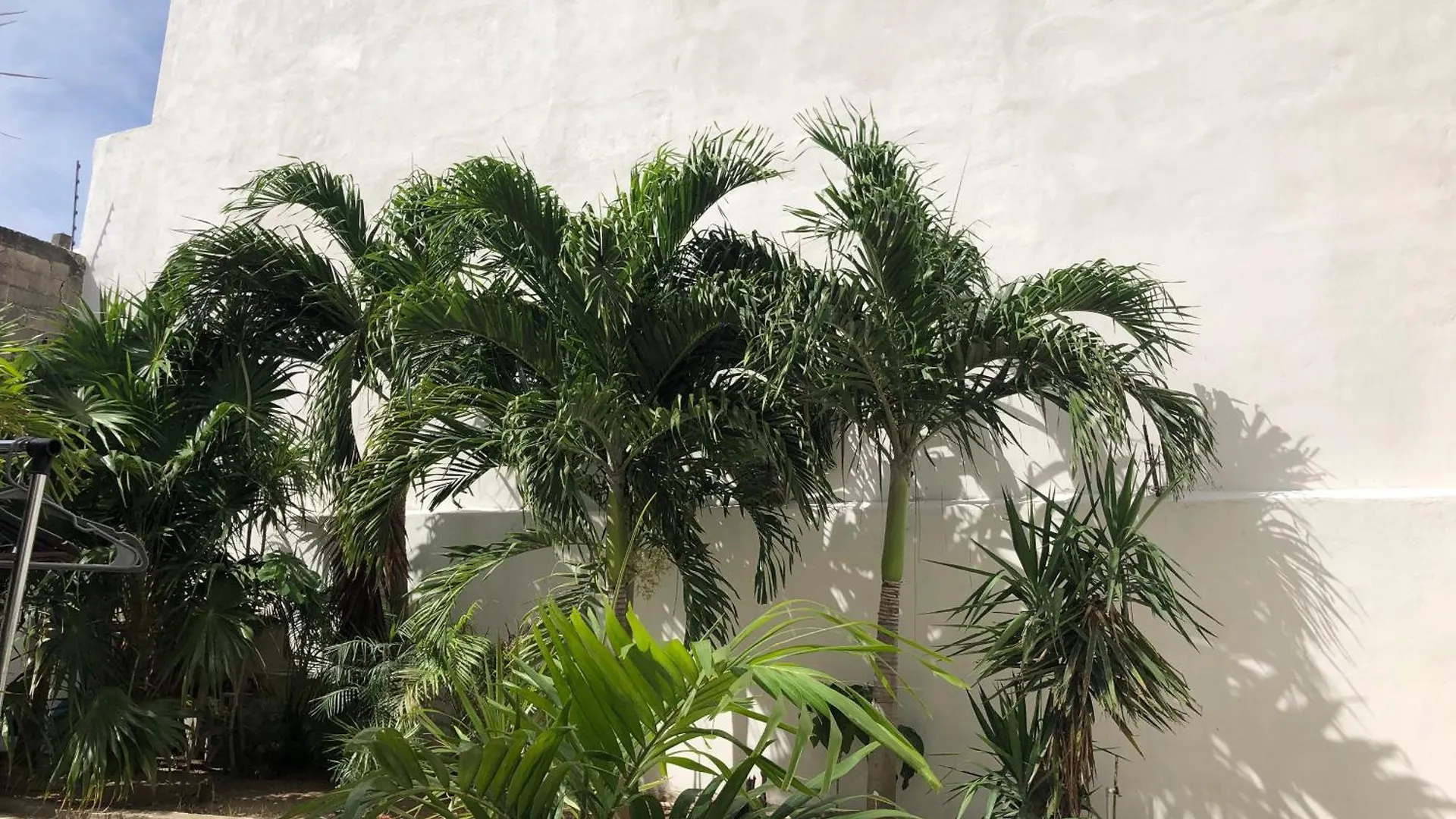 ** 公寓式酒店 Studios Playa 普拉亚卡门 墨西哥
